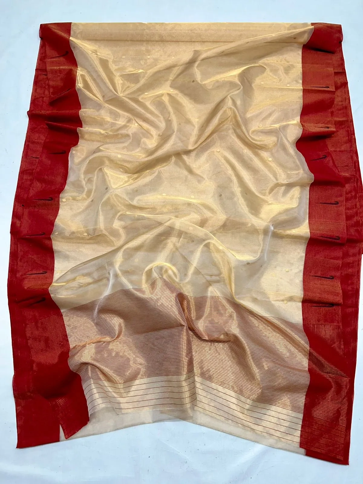 Pure Chanderi silk pattu saree in soft gold with a rich red border, ideal for weddings and festive occasions.
