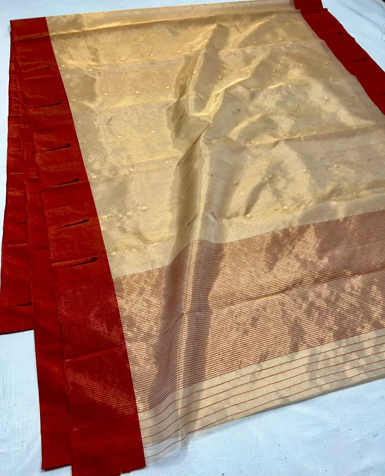 Pure Chanderi silk pattu saree in gold with rich red borders, featuring subtle woven patterns, ideal for weddings.